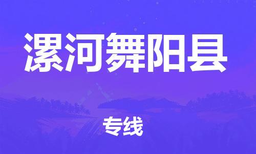 广州到漯河舞阳县物流公司|广州到漯河舞阳县货运专线|捷尔迅物流整车零担运输